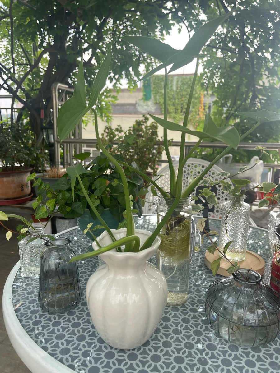 Japandi Home Decor and Nordic Ceramic Decor: A Quiet Styling Guide