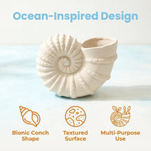 Cadrune Coastal Shell Vase